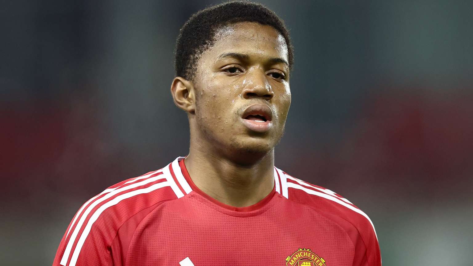 如何在高强 如何在高强